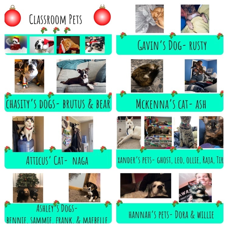 Ms. Chasity’s classroom created a slideshow of all of their pets!